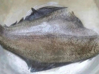 Ẩm thực - Loại cá biển rẻ bèo có giá trị dinh dưỡng cực kỳ cao, nhiều người chế biến sai cách
