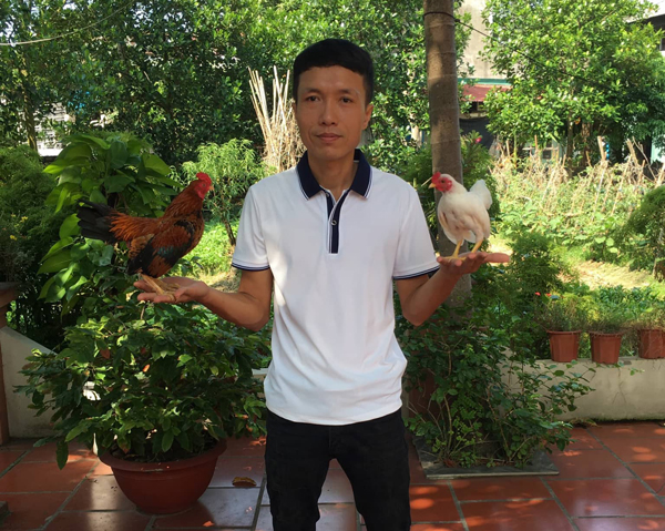 Dân chơi mua loại gà nhỏ tí, giá lên đến cả trăm triệu đồng/con - 1