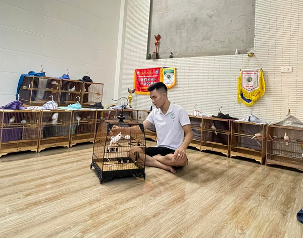 9x sở hữu đàn chim tiền tỷ, có con giá lên đến 500 triệu đồng - 1