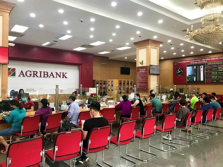 Đất biệt thự ven Hồ Tây được ngân hàng rao bán chỉ gần 300 triệu/m2 - 1