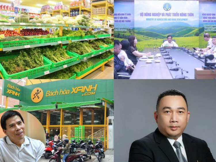 Rau sạch "dởm" đội lốt hàng VietGAP: Người tiêu dùng hoang mang, chủ hệ thống siêu thị thiệt hại nghìn tỷ