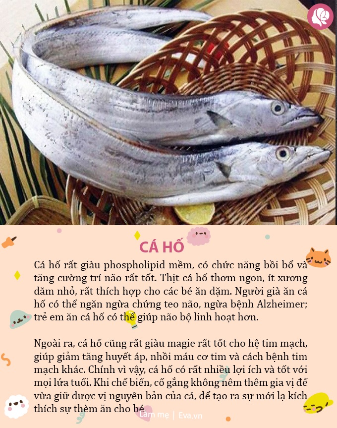 Bé ăn cá sẽ thông minh hơn? 5 loại cá &#34;siêu bổ dưỡng&#34; giúp trẻ tăng IQ vùn vụt - 5