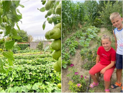 Gia đình - Vườn rau Việt gần 2000m2 của mẹ đảm ở Budapest: Bạn bè nước ngoài ùn ùn ghé thăm, hái rau mang về