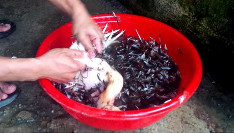 Cách nấu cà ri gà đơn giản, thơm ngon tại nhà ăn hoài không chán - 4