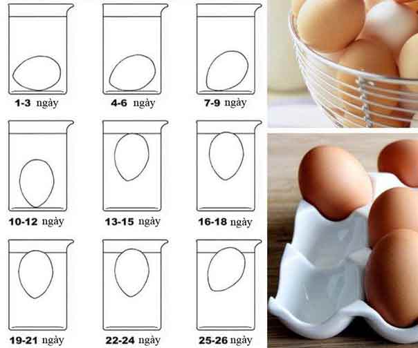 Cách luộc trứng lòng đào dẻo thơm, béo ngậy dễ làm tại nhà - 8