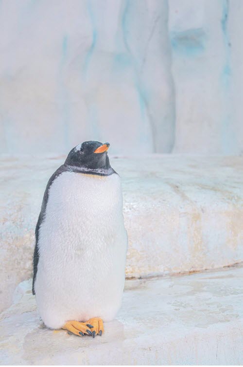 Yêu cầu làm rõ nguyên nhân vỡ đường băng sân bay Vinh - 3