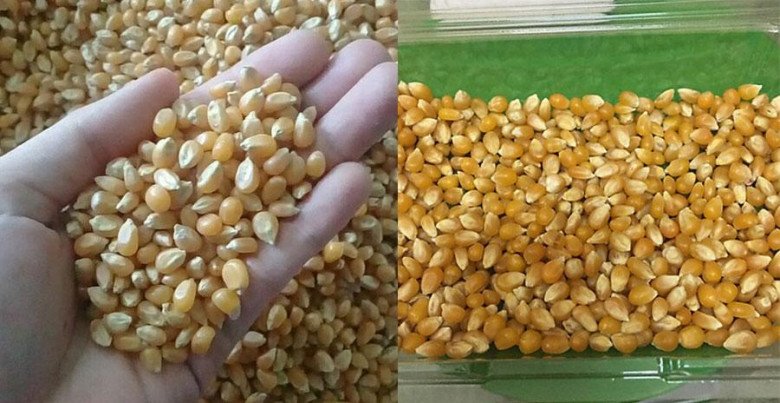 5 cách làm bắp rang bơ (bỏng ngô) tại nhà giòn ngon như rạp chiếu phim - 1