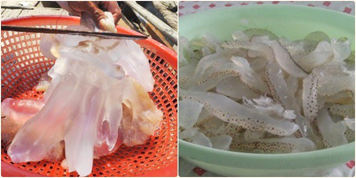 8 cách làm gỏi sứa thập cẩm, xoài, bắp chuối giòn ngon, thanh mát - 1