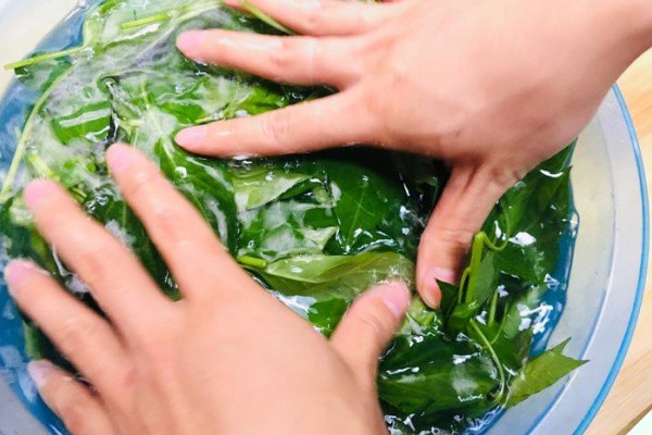 Lá này canxi gấp 2 lần sữa, nấu canh rất ngon, giúp bổ tỳ, tiêu sưng nhưng ít người biết ăn - 3