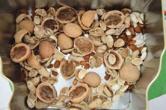 Đặt thứ này dưới đáy chậu, trồng cây 10 năm không lo rễ thối, hoa nở hết vụ này đến vụ khác - 5