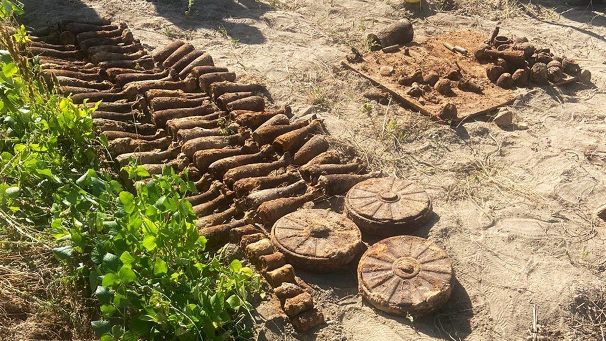 Đào khoai tây ở vườn sau nhà, người phụ nữ Ukraine phát hiện hàng loạt vũ khí chết chóc - 1