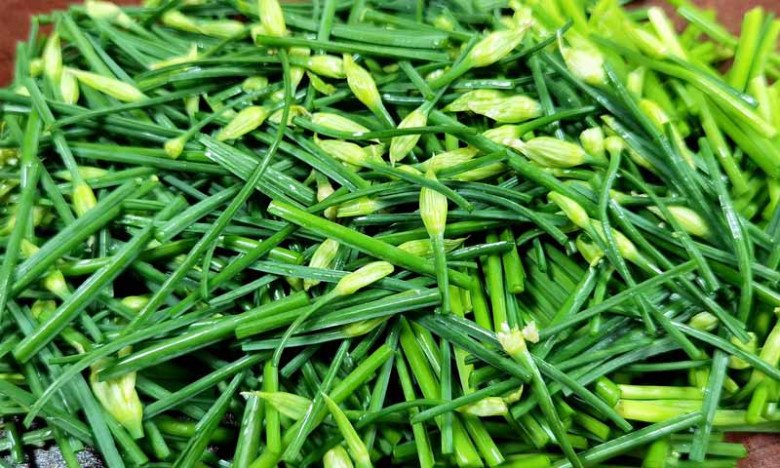 Thứ này có giá 90.000đ/kg, người Trung Quốc gọi là “rau trường thọ”, ăn rất ngon lại có thể làm thuốc - 3