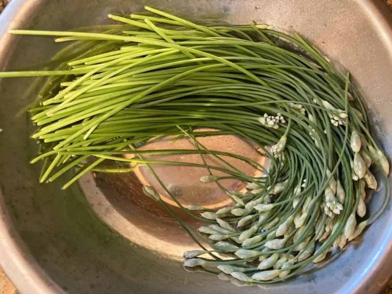 Thứ này có giá 90.000đ/kg, người Trung Quốc gọi là “rau trường thọ”, ăn rất ngon lại có thể làm thuốc - 2