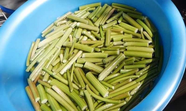 Cây này nghe tên đã thấy “đau”, xưa là cỏ dại mọc um tùm chẳng ai ăn nay bán 130.000đ/kg, vừa ăn vừa làm thuốc - 3