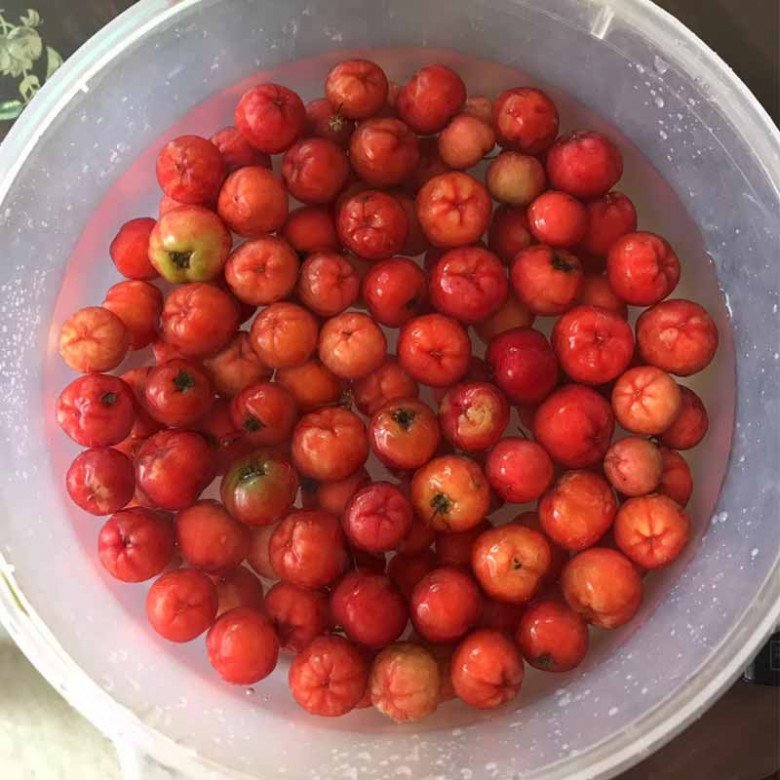 Quả bé tí vitamin C gấp 60 lần chanh, người Nhật gọi nó là “thần dược”, nước ta bán 25.000đ/kg - 4