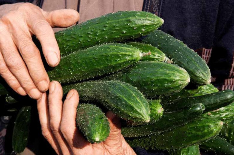 Quả giàu vitamin B chợ bán 20.000đ/kg, đem ngâm chung với “hạt trường thọ” được món đại bổ - 10