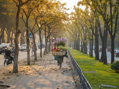 Văn thơ - Từng giọt thu, chơi vơi miền nhớ