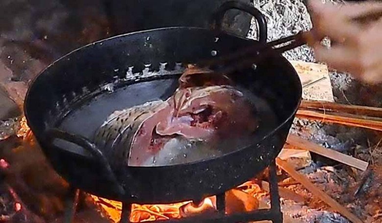 Quả mọc dại không chăm bón cũng sai lúc lỉu, đến mùa dân bắc thang hái đem bán 250.000đ/kg, nấu lên ăn ngon xỉu - 7