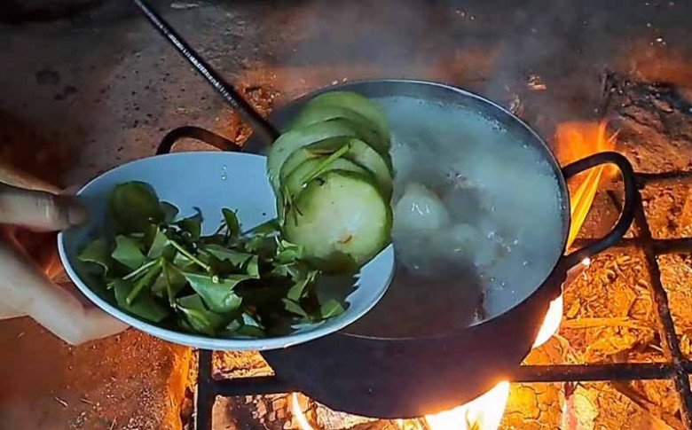 Quả mọc dại không chăm bón cũng sai lúc lỉu, đến mùa dân bắc thang hái đem bán 250.000đ/kg, nấu lên ăn ngon xỉu - 9