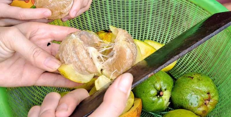 Quả mọc dại không chăm bón cũng sai lúc lỉu, đến mùa dân bắc thang hái đem bán 250.000đ/kg, nấu lên ăn ngon xỉu - 4