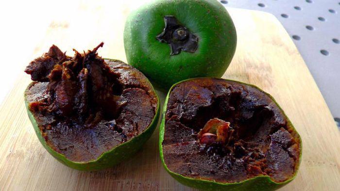 Loại quả lạ có vị giống socola, giá gần nửa triệu đồng/kg, trồng ở ban công vừa làm cảnh vừa cho quả ăn - 2