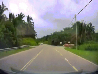 Giao thông - Clip: Ô tô phóng nhanh đoạn giao cắt, hất tung con bò bay sang đường