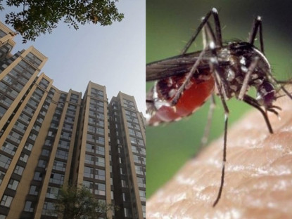 Gia đình - Muỗi có thể bay cao nhất đến tầng nào? Nghe chuyên gia trả lời tôi mới biết mình đã chọn nhầm tầng