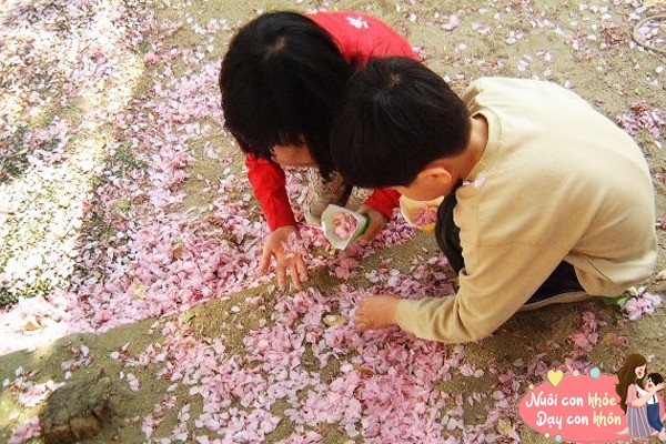 Màu sắc nói lên tính cách và trí tuệ của trẻ, học sinh thích màu này rất thông minh - 7