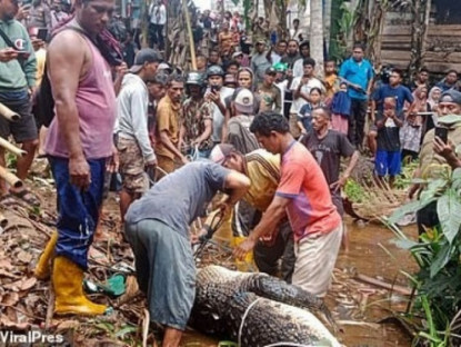 Thế giới - Indonesia: Rạch bụng cá sấu ăn thịt người