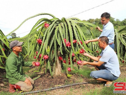 Thông tin doanh nghiệp - Hợp tác đưa nông sản vươn xa