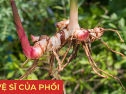 Thông tin doanh nghiệp - Gia vị quen thuộc này chính là “vệ sĩ” của phổi, đọc xong nhiều người “tiếc đứt ruột” vì bỏ phí!