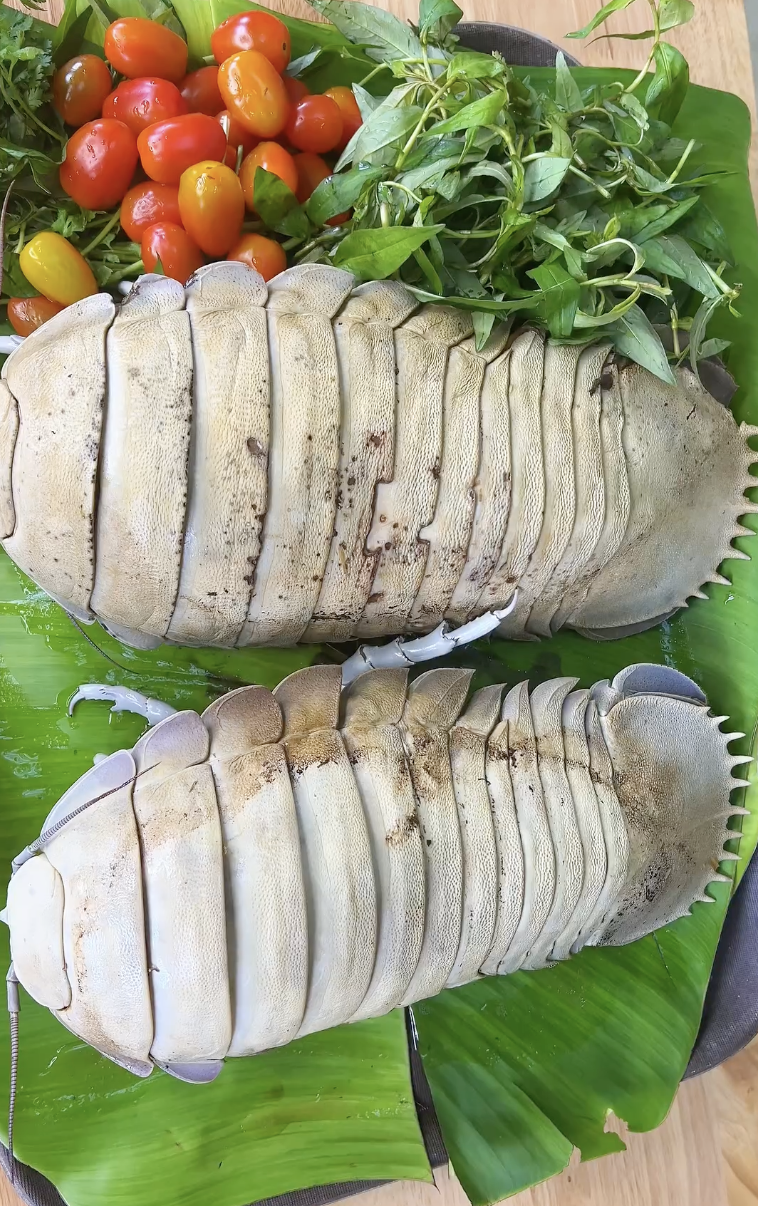 Loại hải sản đắt hơn tôm hùm khiến Quỳnh Trần JP và Phương Oanh đều chọn để bồi bổ thai kỳ, nhà giàu thèm cũng khó mua - 5