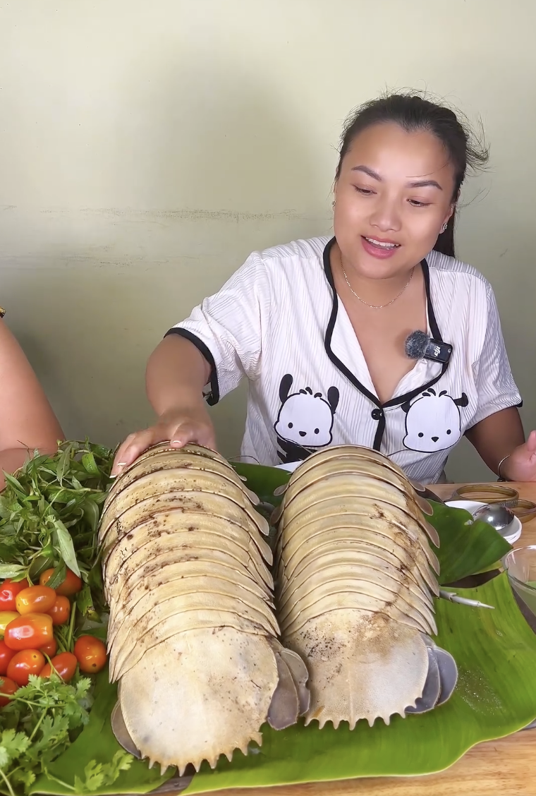 Loại hải sản đắt hơn tôm hùm khiến Quỳnh Trần JP và Phương Oanh đều chọn để bồi bổ thai kỳ, nhà giàu thèm cũng khó mua - 1