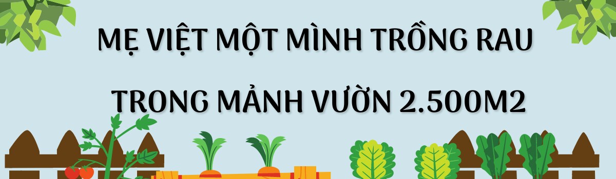 Mẹ Việt ở Hàn trồng rau trong mảnh vườn 2.500m2, chia sẻ bí quyết có rau quả quanh năm nhờ túi bóng đen - 1