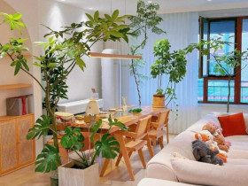 Nhà có 5 loại hoa này, con cái luôn có quý nhân giúp đỡ, càng trồng gia đình càng vượng phát