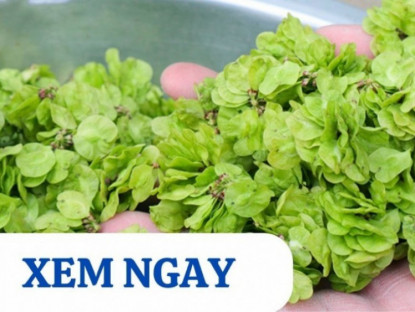 Thông tin doanh nghiệp - Mùa mưa bão đến rồi, xem ngay 5 loại rau củ được người xưa ví là “thần dược” cho xương khớp