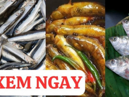 Thông tin doanh nghiệp - Top 3 loại cá rẻ tiền cực giàu canxi, tốt cho xương khớp 