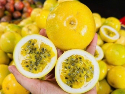 Kinh tế - Bất ngờ loại chanh “lạ” ngọt thơm mùi ổi chín đổ bộ chợ Việt, giá chỉ từ 25 nghìn đồng/kg