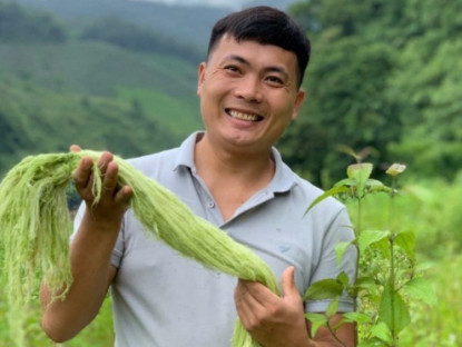 Kinh tế - Biến loại lá nhiều người vứt bỏ thành “mỏ vàng”, 9x Nghệ An có doanh thu 7 tỷ đồng/tháng