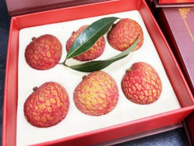Điều ít biết về loại vải đắt nhất thế giới, giá một quả gần 2 tỷ đồng