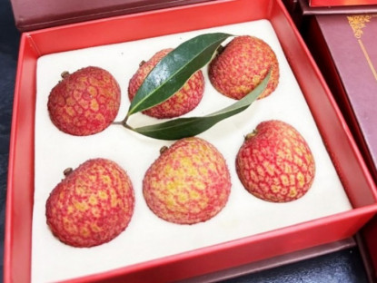 Kinh tế - Điều ít biết về loại vải đắt nhất thế giới, giá một quả bằng cả chiếc siêu xe