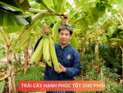 Thông tin doanh nghiệp - Loại quả được mệnh danh là “trái cây hạnh phúc”, rất giàu dinh dưỡng cho phổi, nhưng thường bị người Việt bỏ qua