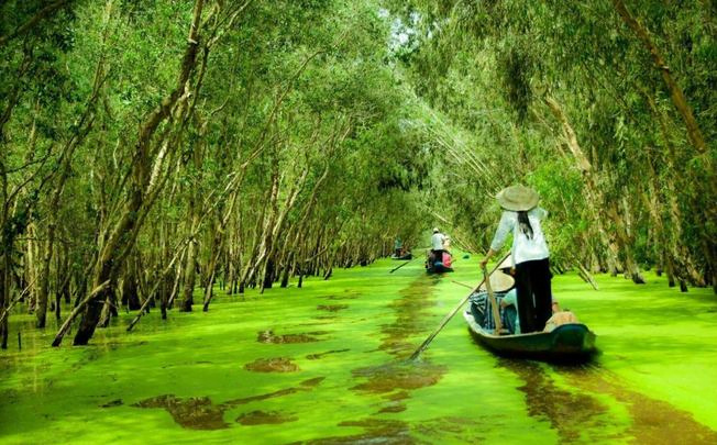 Đôi nét về bút ký đương đại khu vực Đồng bằng sông Cửu Long - 1