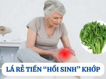 Thông tin doanh nghiệp - Loại lá mọc hoang đầy vườn nhưng là “khắc tinh” của bệnh xương khớp