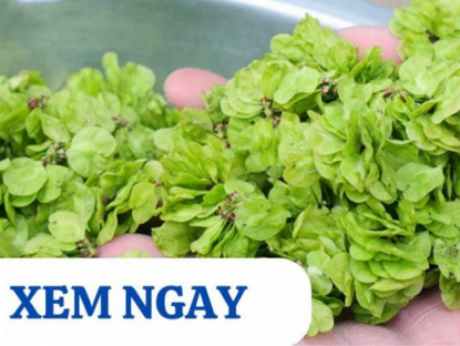 Thông tin doanh nghiệp - 5 loại rau củ được người xưa ví là “thần dược” cho xương khớp mùa mưa bão