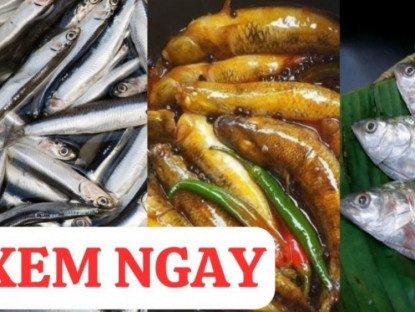 Thông tin doanh nghiệp - 3 loại cá rẻ tiền cực giàu canxi, tốt cho xương khớp 