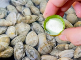 Mua ngao về nhiều cát, ngư dân kinh nghiệm 10 năm mách mẹo này 5 phút là ngao sạch sẽ chẳng cần cầu kỳ