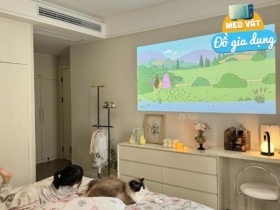 Tại sao ngày càng nhiều người loại bỏ máy chiếu, quay về dùng tivi? Hóa ra vì 4 điều này