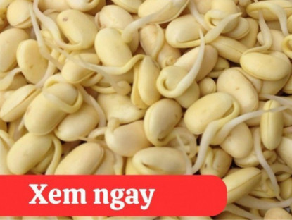 Thông tin doanh nghiệp - “Tái sinh” khớp gối với 2 món ăn được người xưa ví là “thần dược” phục hồi xương khớp 