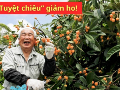 Thông tin doanh nghiệp - Người Nhật tiết lộ tuyệt chiêu “quét sạch” đàm ho, “tái sinh” lá phổi khiến dân tình sửng sốt!